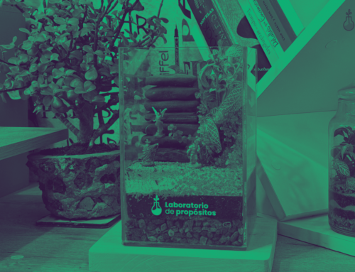 ¿DE DONDE NACE EL LABORATORIO DE PROPÓSITOS?